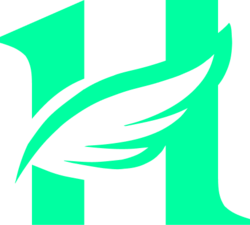 FLY (FLY) Price, News & Onchain Analytics | Quant & Trading Tools | Surf AI