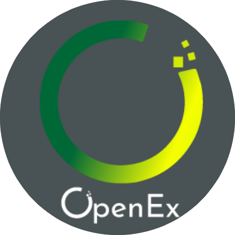 OpenEx Price, News & Onchain Analytics | Layer2 & Scaling | Surf AI