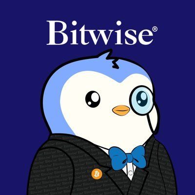 Bitwise Price, News & Onchain Analytics | Yield & Asset Mgmt | Surf AI