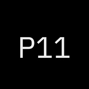 Project 11 Price, News & Onchain Analytics | Developer Tooling | Surf AI